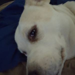 Meet your Posher, Jesse